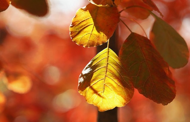 ABUIABACGAAg9sDluQUouI7XoAQwgAU4nQM